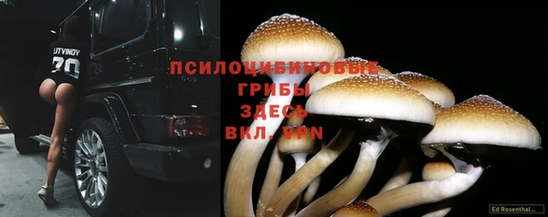 каннабис Абаза