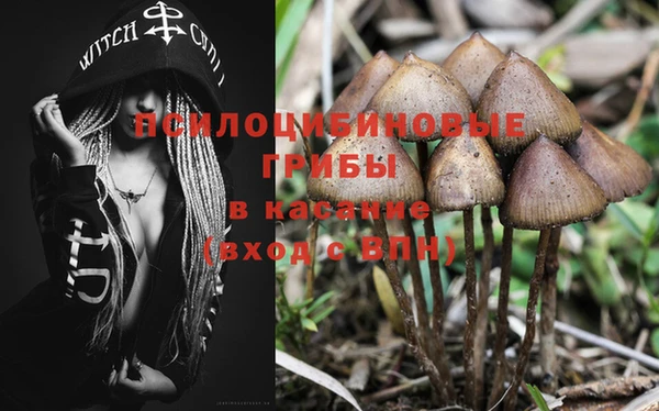 стафф Алзамай