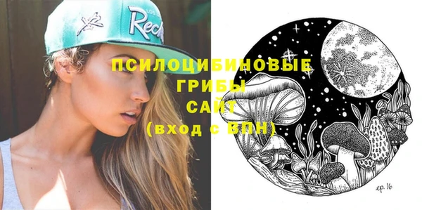 стафф Алзамай